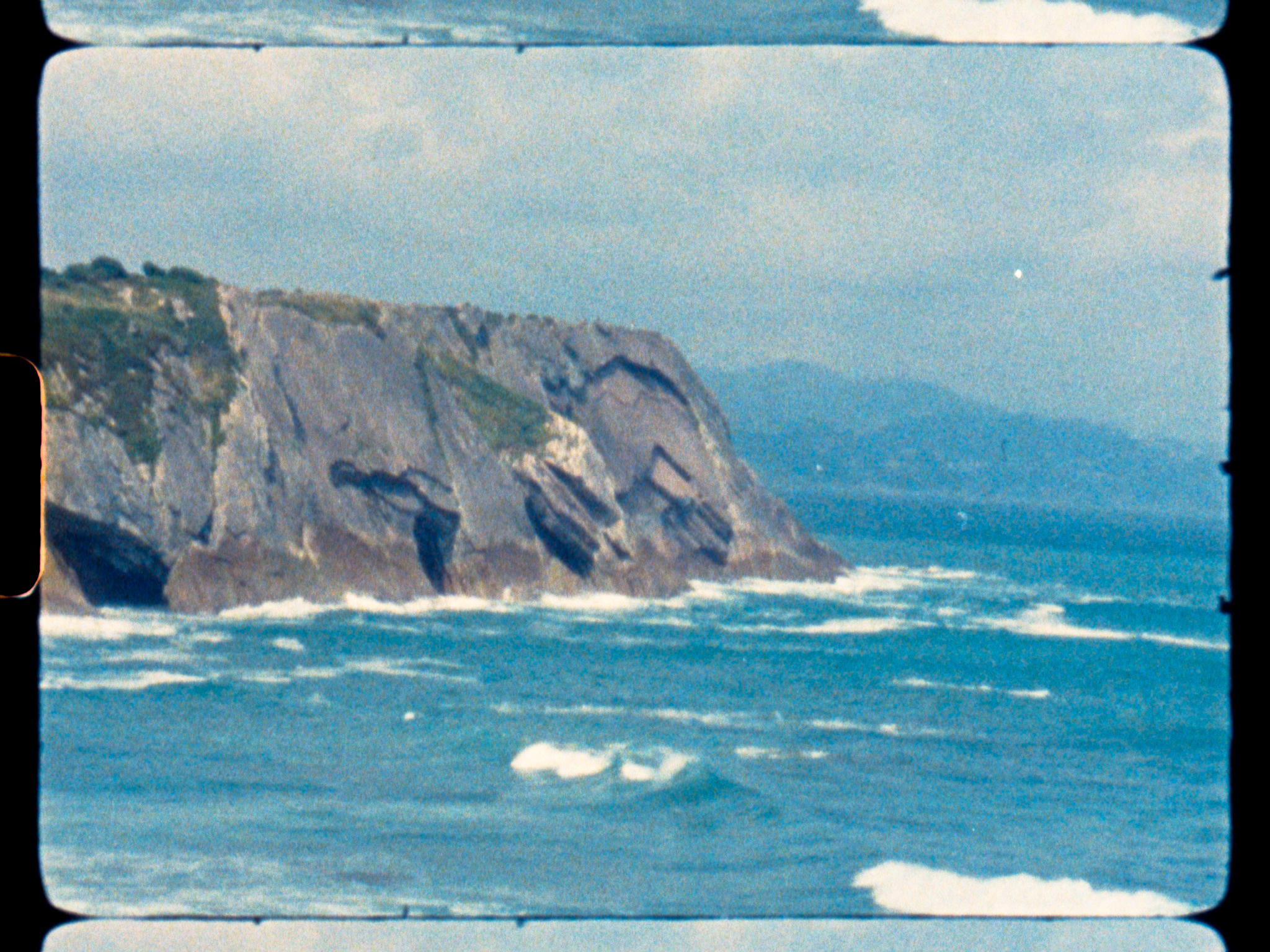 Super 8 still – dense grain bloom