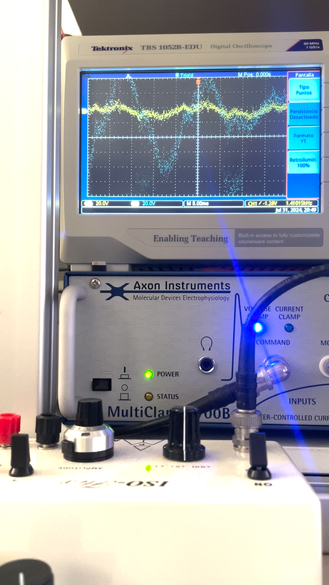 Nexus – neuronal microscopy image