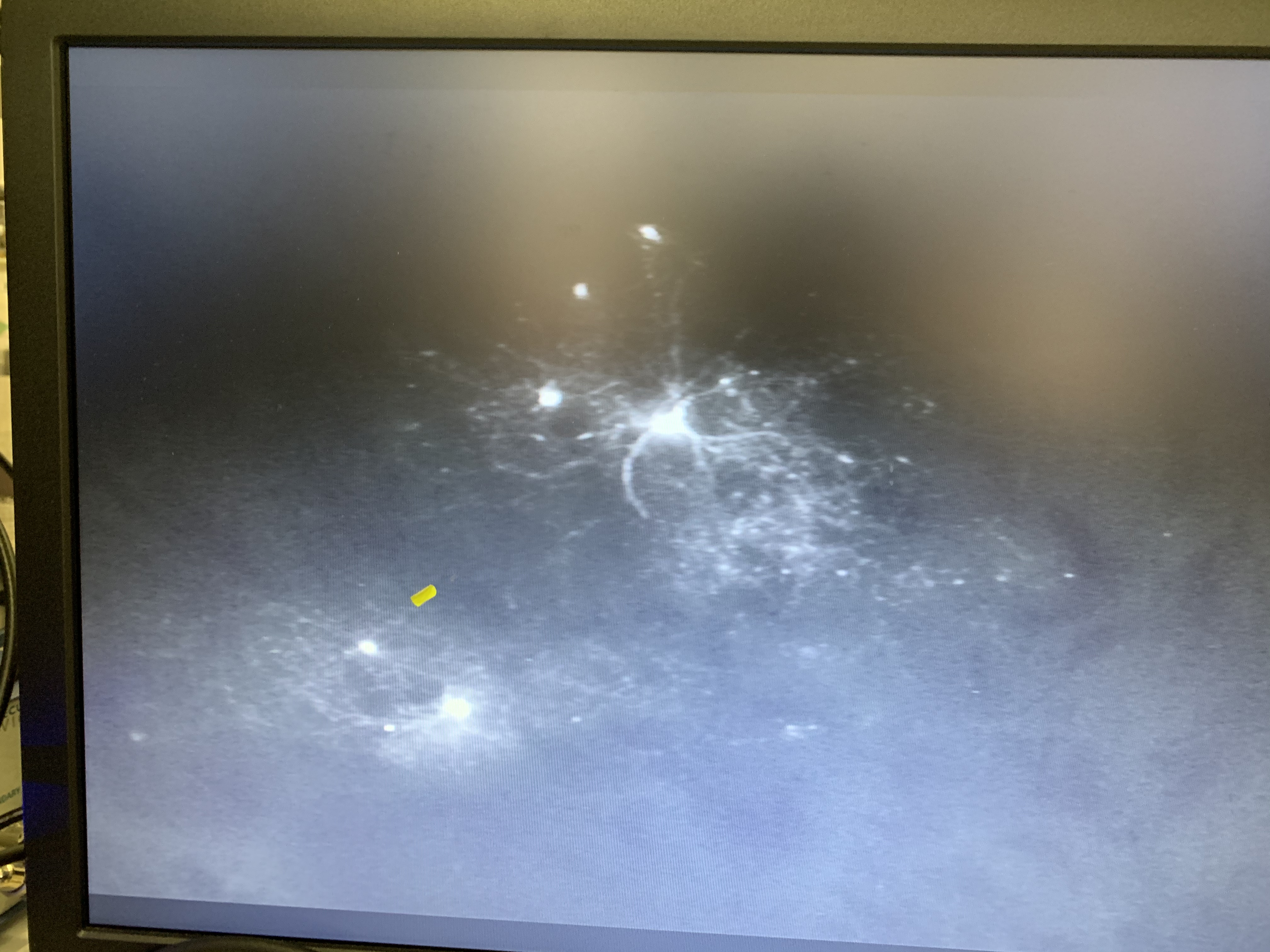 Nexus – exhibition photograph